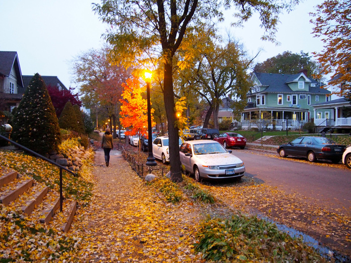 Pedestrian scale streetlight